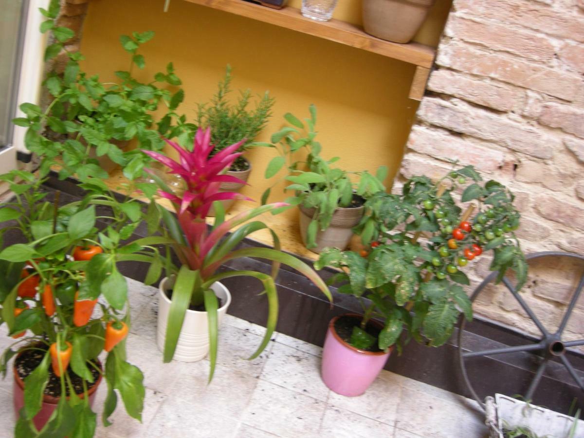 Appartamento Terrazza Petroni Bologna Esterno foto